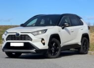2019 Toyota RAV4  2.5 Hyb.Style