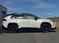 2019 Toyota RAV4  2.5 Hyb.Style
