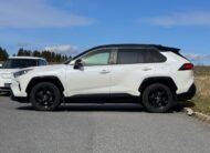 2019 Toyota RAV4  2.5 Hyb.Style